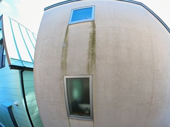 日当たりの悪い場所では、伝い水の水分が乾きにくくコケが生えやすくなります。